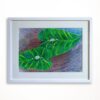003. Color Pencil on Paper 12in x 17in
