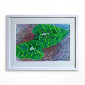 003. Color Pencil on Paper 12in x 17in