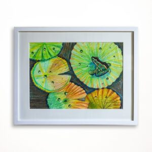 006 Color Pencil on Paper 16in x 12in