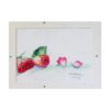 028 Color Pencil on Paper 16in x 11in