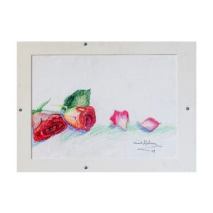 028 Color Pencil on Paper 16in x 11in