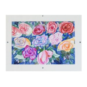 029 Color Pencil on Paper 16in x 11in