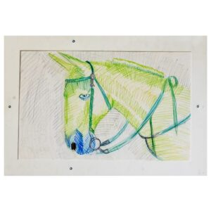 030 Color Pencil on Paper 22in x 14in