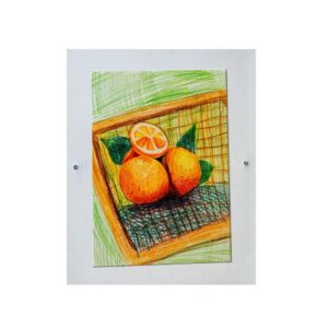 036 Color Pencil on Paper 10in x 14in