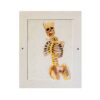 038 Color Pencil on Paper 11in x 14in