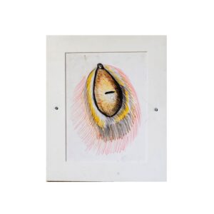 040 Color Pencil on Paper 09in x 12in