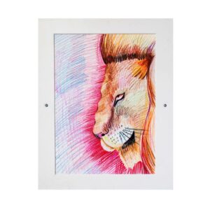 041 Color Pencil on Paper 11in x 16in