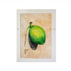 043 Color Pencil on Paper 14in x 20in